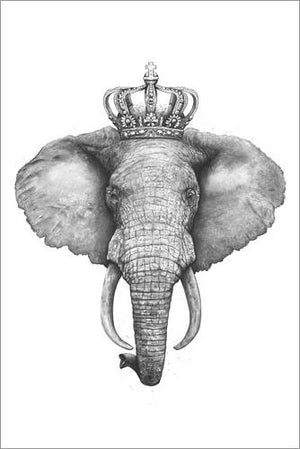 Elephant Butter